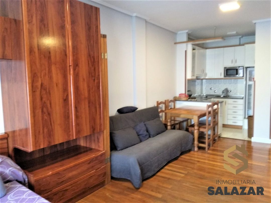 flat to rent bilbao